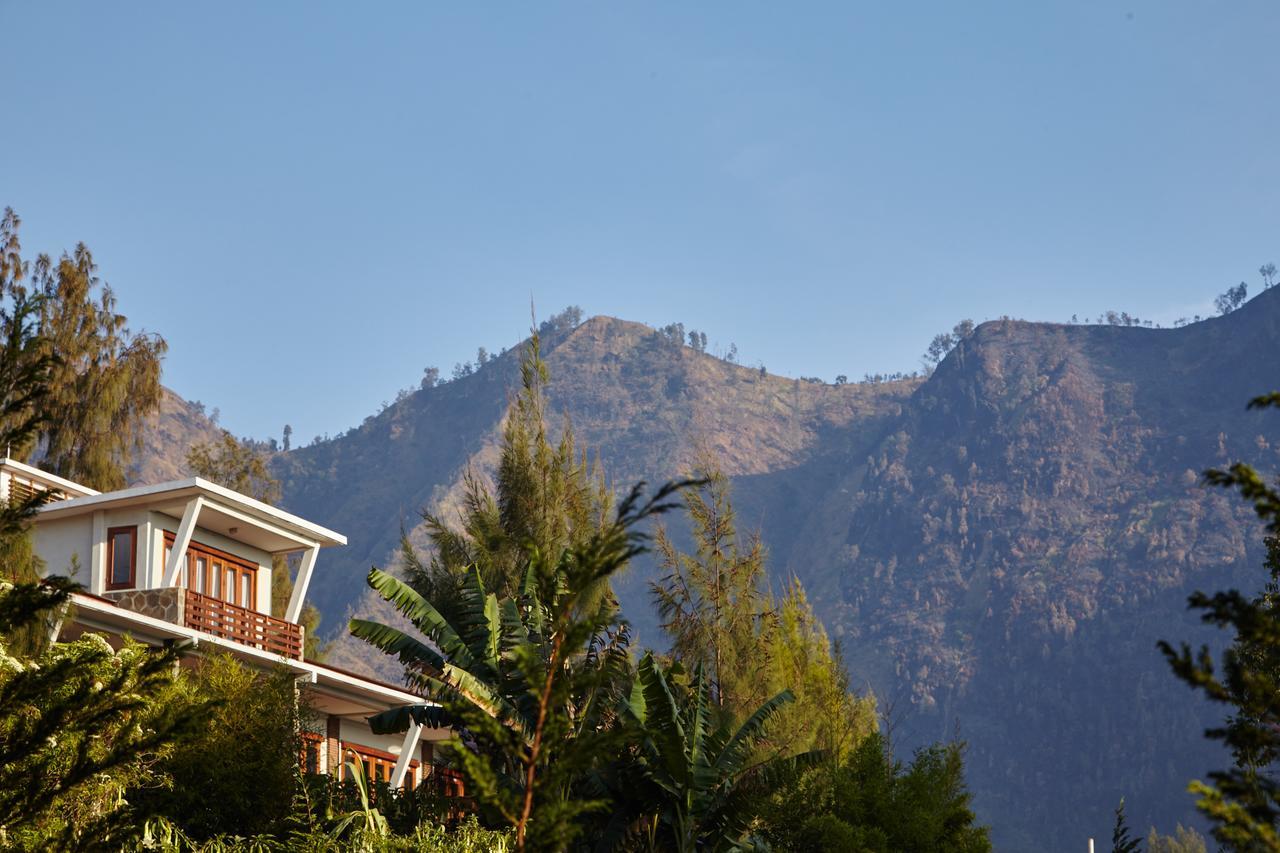 Jiwa Jawa Resort Bromo Eksteriør billede