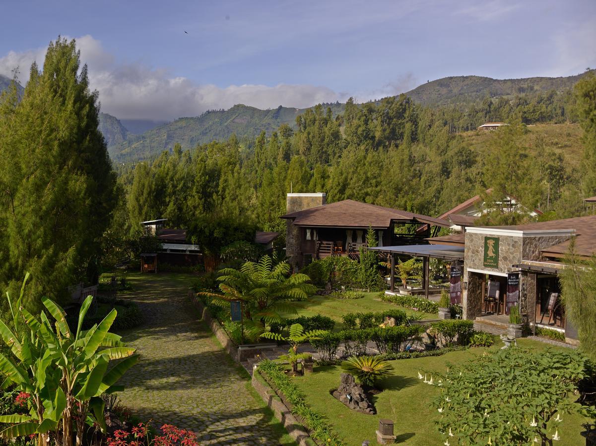 Jiwa Jawa Resort Bromo Eksteriør billede